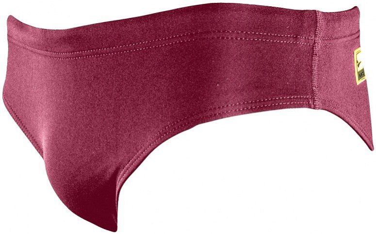 Boy's swimsuit Finis Youth Brief Solid Cabernet